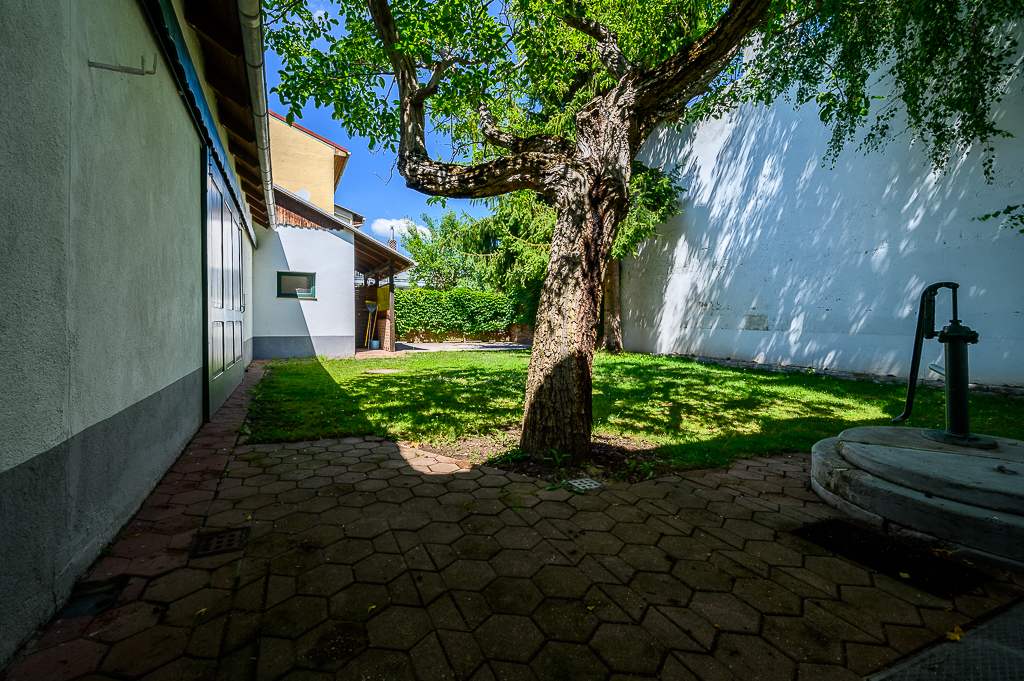 1210 Wien